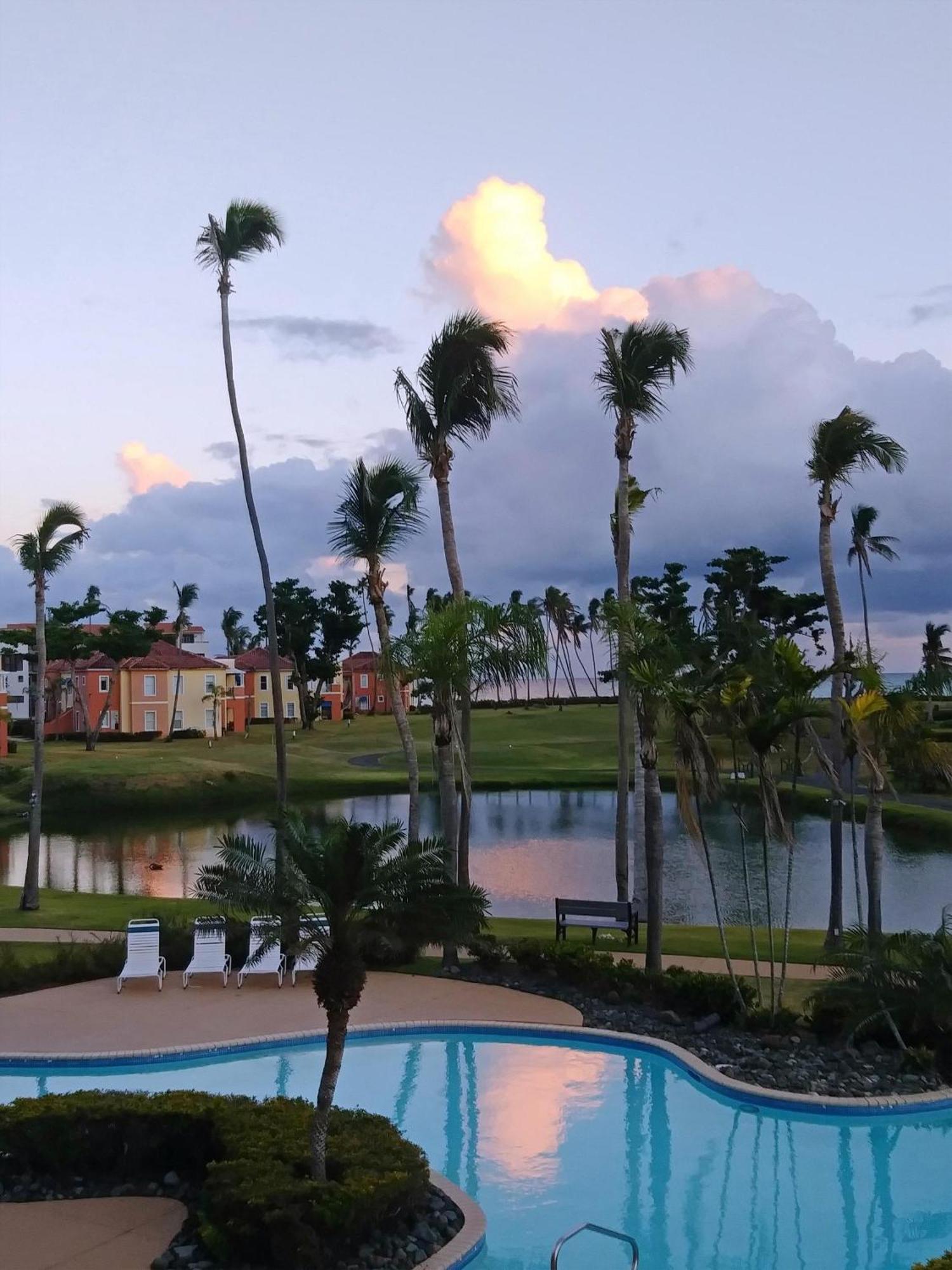 Palm View Apartment Humacao Exterior photo